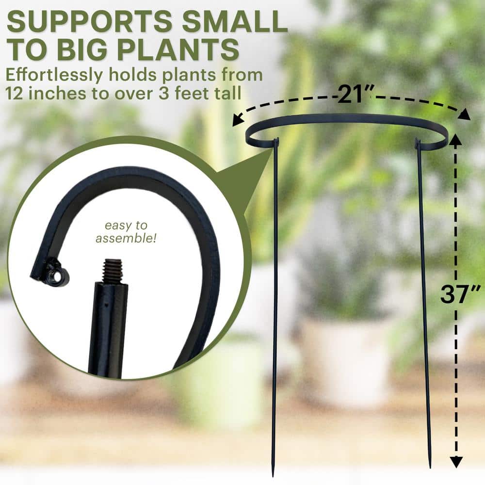Black Metal Half Round Plant Support Stake, 37" Tall