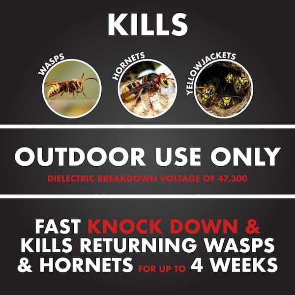 18 oz. PRO Wasp and Hornet Spray Insect Killer Aerosol (6-Pack)