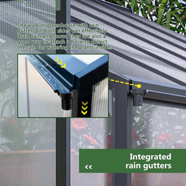 Daheat GHgo, 8 x 12 ft. Polycarbonate, Walk-in Greenhouse with
