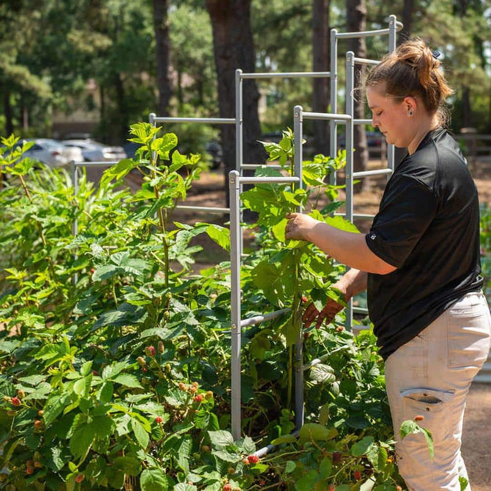 Modular Metal Trellis System for L-Shaped Garden Beds