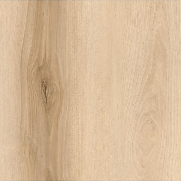 Home Decorators Collection Take Home Sample - Hemlock Hickory Click Lock Waterproof Luxury Vinyl Plank Flooring