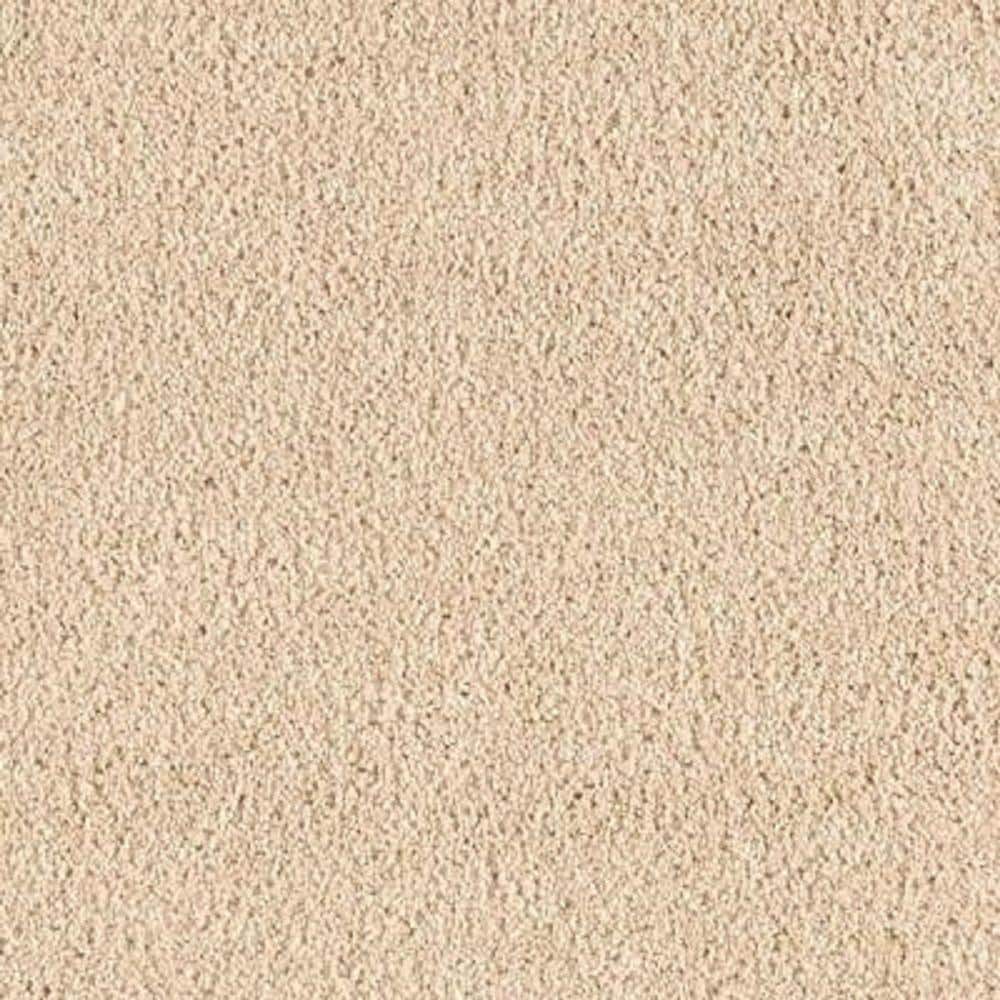 8 in. x 8 in. Texture Carpet Sample - Ambrosina I -Color Calm Spirit price history on PriceWatchPro