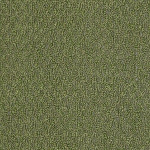 Isla Vista - Topiary - Green 14 oz. SD Olefin Berber Installed Carpet