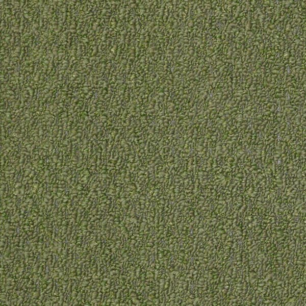 TrafficMaster Isla Vista - Color Topiary Indoor/Outdoor Berber Green Carpet