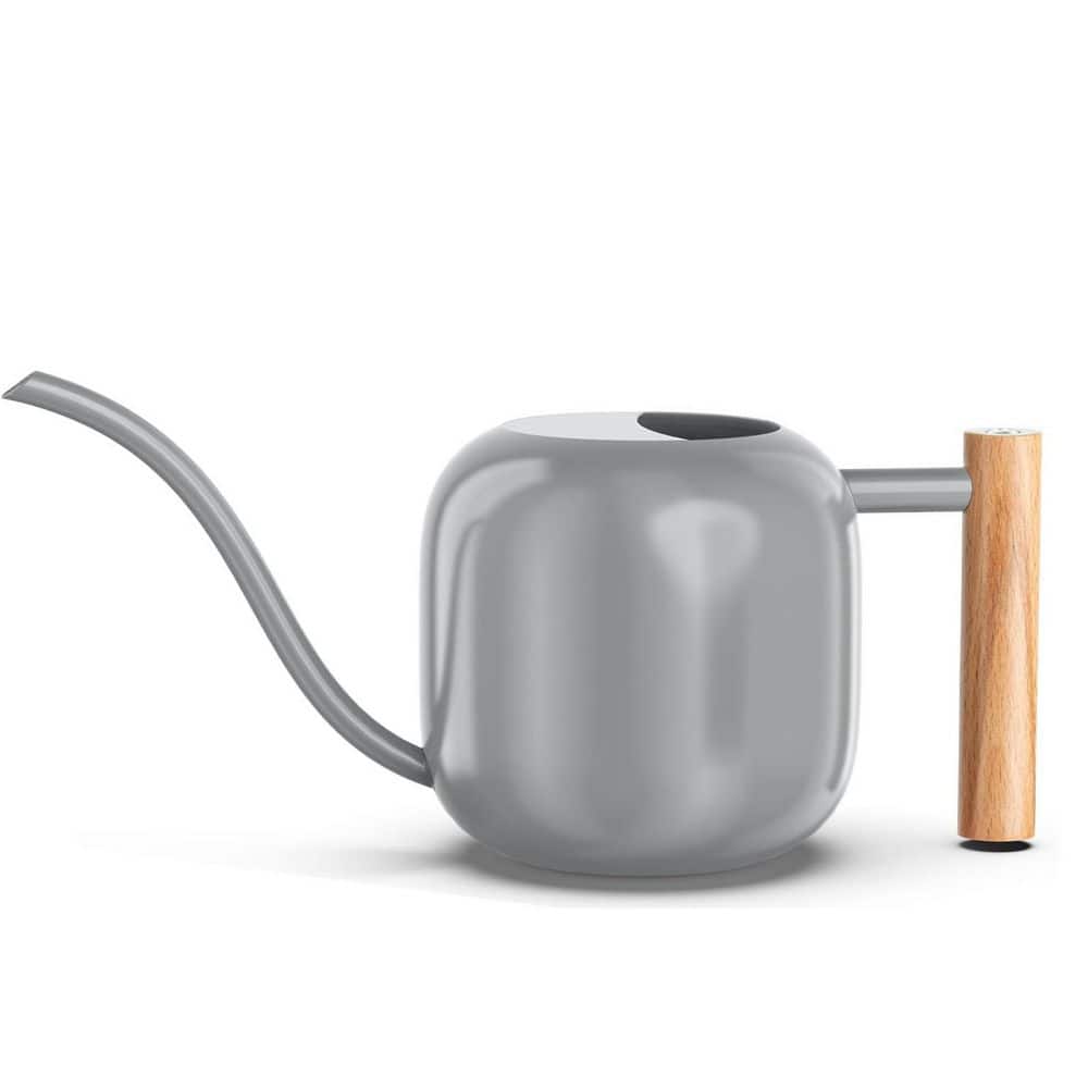 0.32 gal. Gray Watering Can, Metal Small Water Can Pot with Long Spout for House Bonsai Plants Garden Flower price history on PriceWatchPro