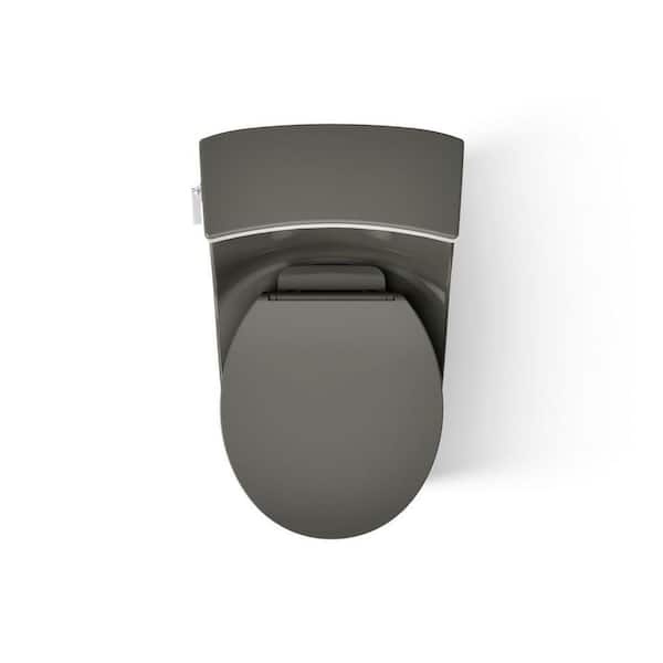 San Souci 12 in. 1-Piece 1.28 GPF Single Flush Round Toilet in Thunder Grey (Seat Included)