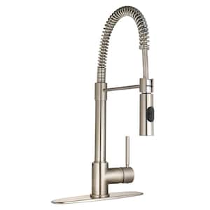 Elba Spring Single Handle Pull-Out Sprayer Kitchen Faucet in Brushed Nickel