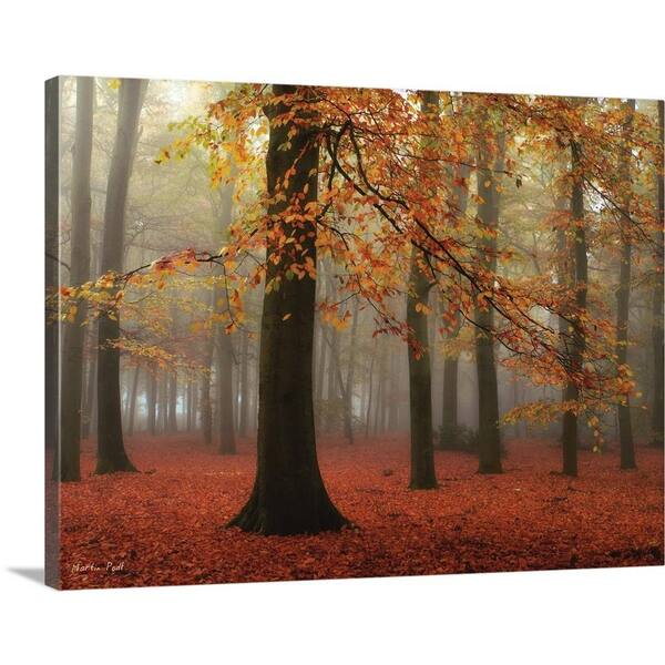 GreatBigCanvas "Miss Misty" by Martin Podt Canvas Wall Art