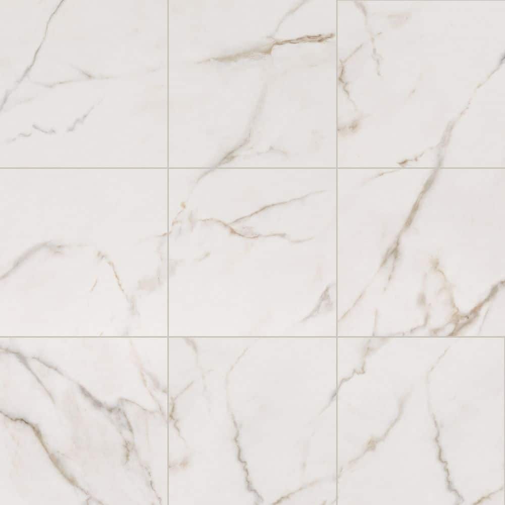 Leonardo Luccia 24 in. x 24 in. Matte Porcelain Marble Look Floor and Wall Tile (16 sq. ft./Case) price history on PriceWatchPro
