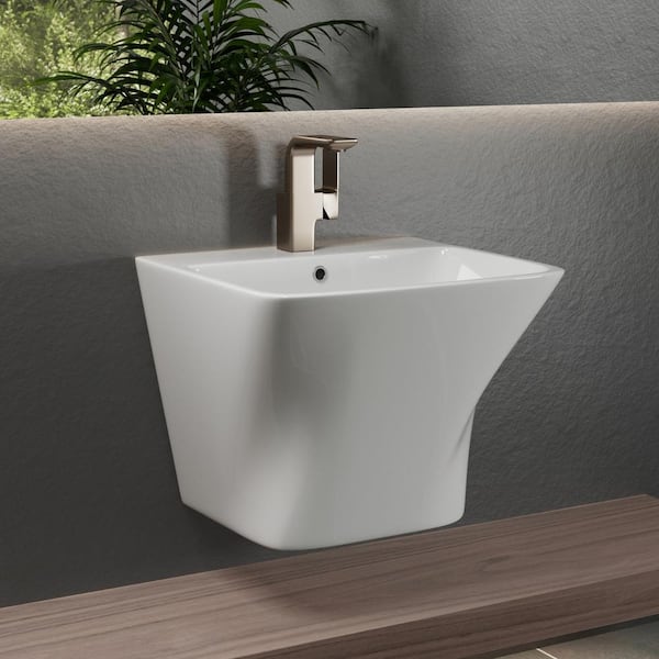 19 in. L x 17 in. W x 15 in. H Wall Mount Bathroom Sink in White Ceramic With Overflow, Pop-up Drain With 2-Covers