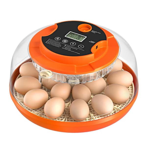 .N/A 18 Egg Incubator with Auto Turning, Humidity Control, Candler Light for Farm, Lab, Home Use