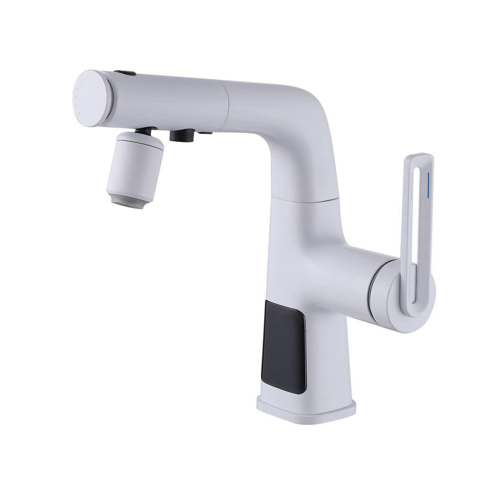 FLG Single Handle Single Hole Bathroom Faucet with Pull Out Sprayer ...