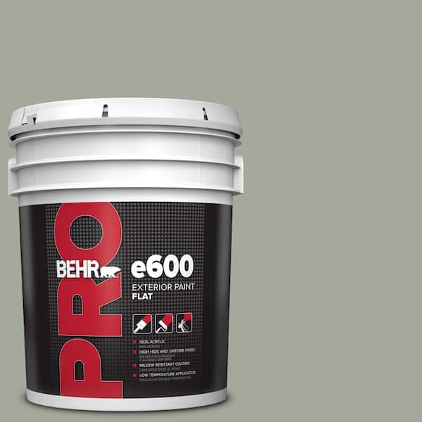 5 gal. #HDC-AC-18 Garden Promenade Flat Exterior Paint