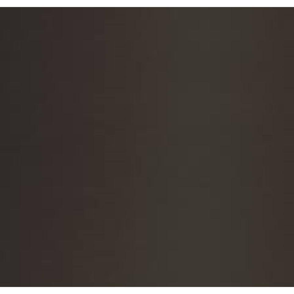 Avara 13" Bronze Glass Drum Indoor/Outdoor Ceiling Light