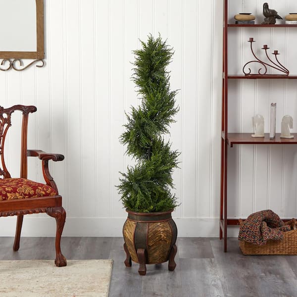 Elegant Decorative Cypress Trees: A Comprehensive Guide