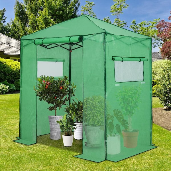 72 in. W x 48 in. D Portable Gardening Pop-Up Walk-In Greenhouse, Green