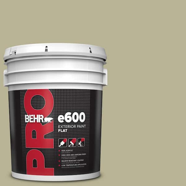 5 gal. #PPU9-09 Seedling Flat Exterior Paint
