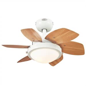 24 in. Integrated LED Indoor Quince White Reversible 6-Blade Ceiling Fan
