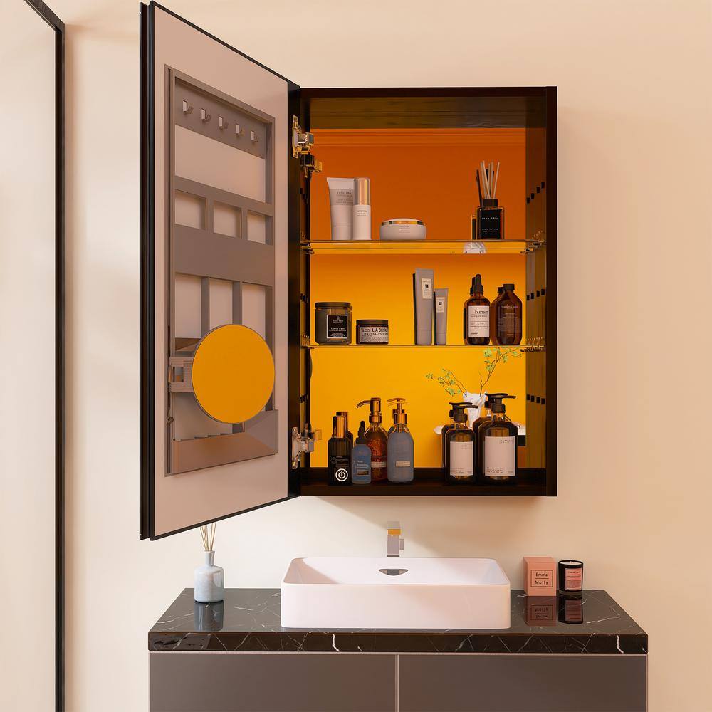 20 in. W x 30 in. H Black Aluminum Surface Mount Medicine Cabinets with Mir