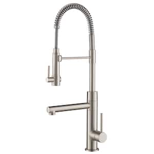 Artec Pro Single-Handle Pull-Down Sprayer Kitchen Faucet and Pot Filler in Spot Free Stainless Steel