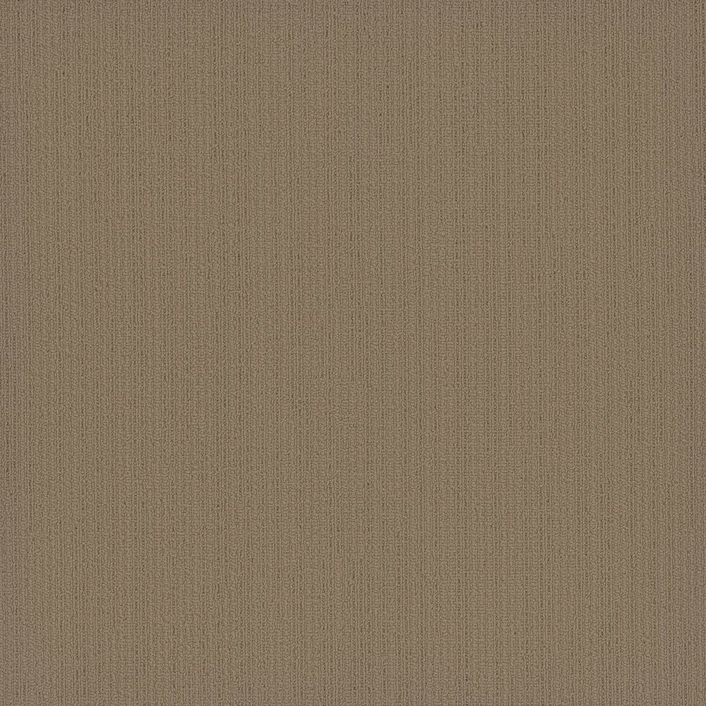 8 in. x 8 in. Loop Carpet Sample - Cadence Step Tile - Color Carlson price history on PriceWatchPro