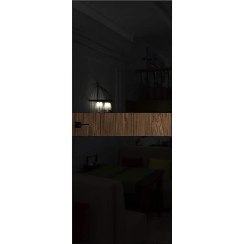 28 in. x 84 in. Unassembled Right-Hand/Outswing Wood Sahara Black Color Flush Mount Hidden Door price history on PriceWatchPro