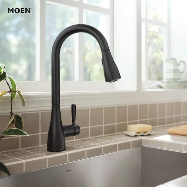 Doherty Single Handle Pull-Down Sprayer Kitchen Faucet with Power Clean and Reflex in Matte Black