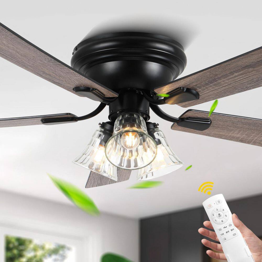 Aesthet 52 in. Indoor Matte Black Farmhouse Rustic Ceiling Fan with Glass Light Fixture, 5 Blades, 6-Speed DC Motor price history on PriceWatchPro