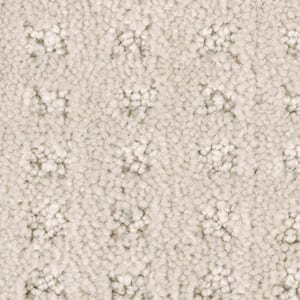 8 in. x 8 in. Texture Carpet Sample - Canter -Color Druid