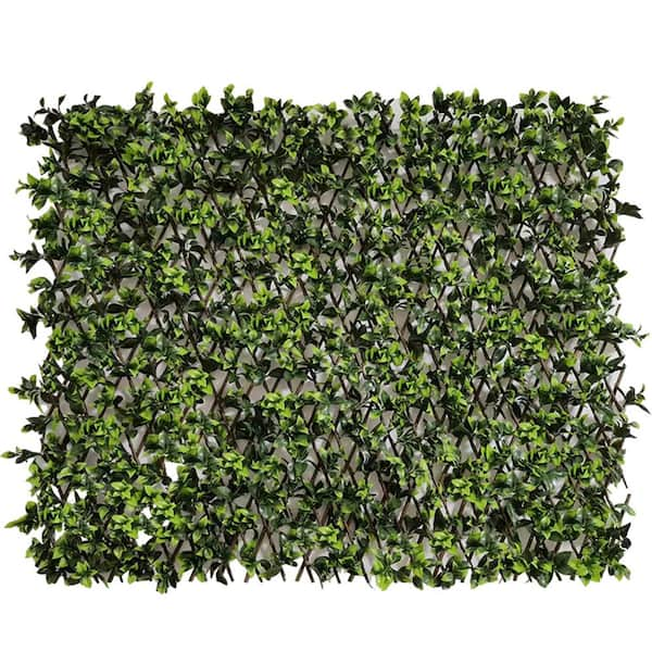 32 in W.Fold Single Side Expandable Faux Hedge Artificial Gardenia Leaf ...