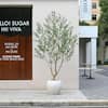 DR.Planzen Artificial 8 ft. Olive Tree with 18 in. White Planter, Tall Faux Olive Trees for Indoor, Home Decor DZDBPGLS2.4m-1