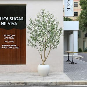 Artificial 8 ft. Olive Tree with 18 in. White Planter, Tall Faux Olive Trees for Indoor, Home Decor