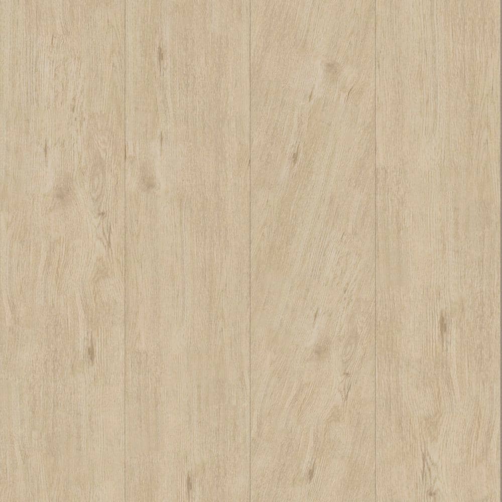Take Home Sample-EverLux XXL Mongoose Taupe Click Lock Waterproof Luxury Vinyl Plank Flooring price history on PriceWatchPro