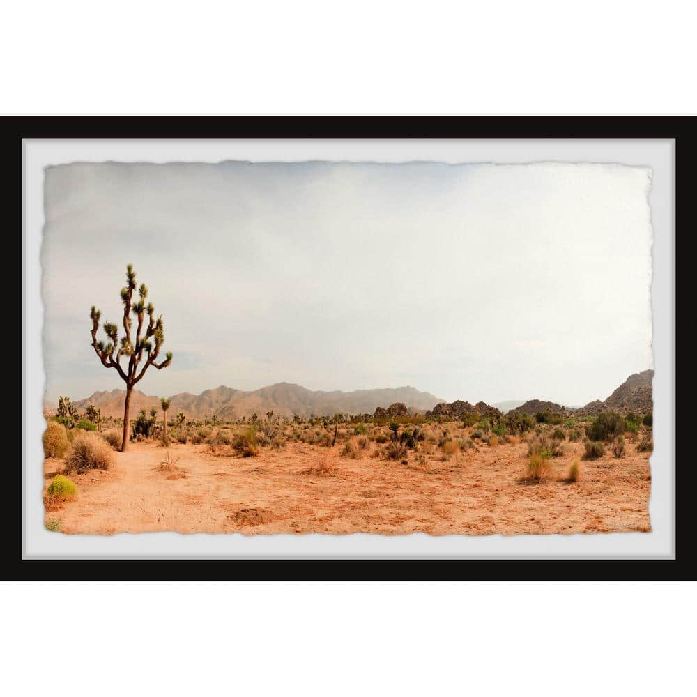 Into the Desert I Go by Marmont Hill Framed Nature Art Print 24 in. x 36 in