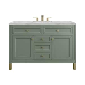 Chicago 48.0 in. W x 23.5 in. D x 34.0 in. H Single Bathroom Vanity Smokey Celadon and Victorian Silver Top