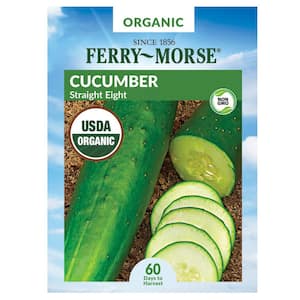 Cucumber Straight 8 Organic Fruit Seed