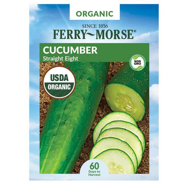 Ferry-Morse Cucumber Straight 8 Organic Fruit Seed