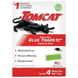Super Hold Glue Traps Mouse Size for Mice, Cockroaches, Spiders, and Scorpions, Ready-To-Use, 4 Traps