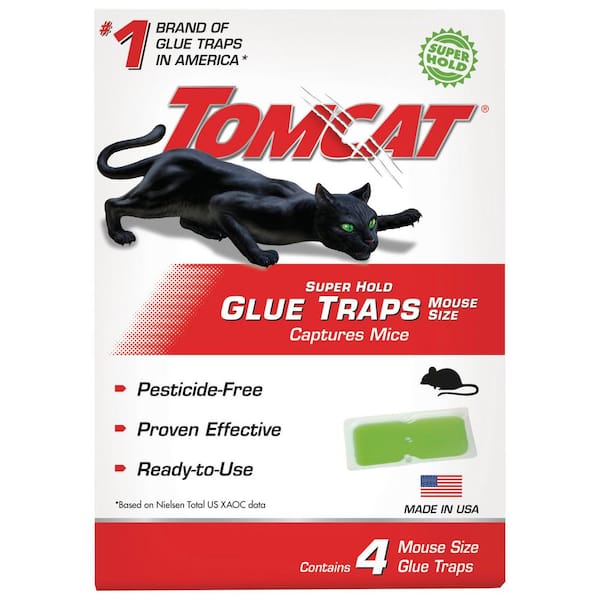 TOMCAT Super Hold Glue Traps Mouse Size for Mice, Cockroaches, Spiders, and Scorpions, Ready-To-Use, 4 Traps