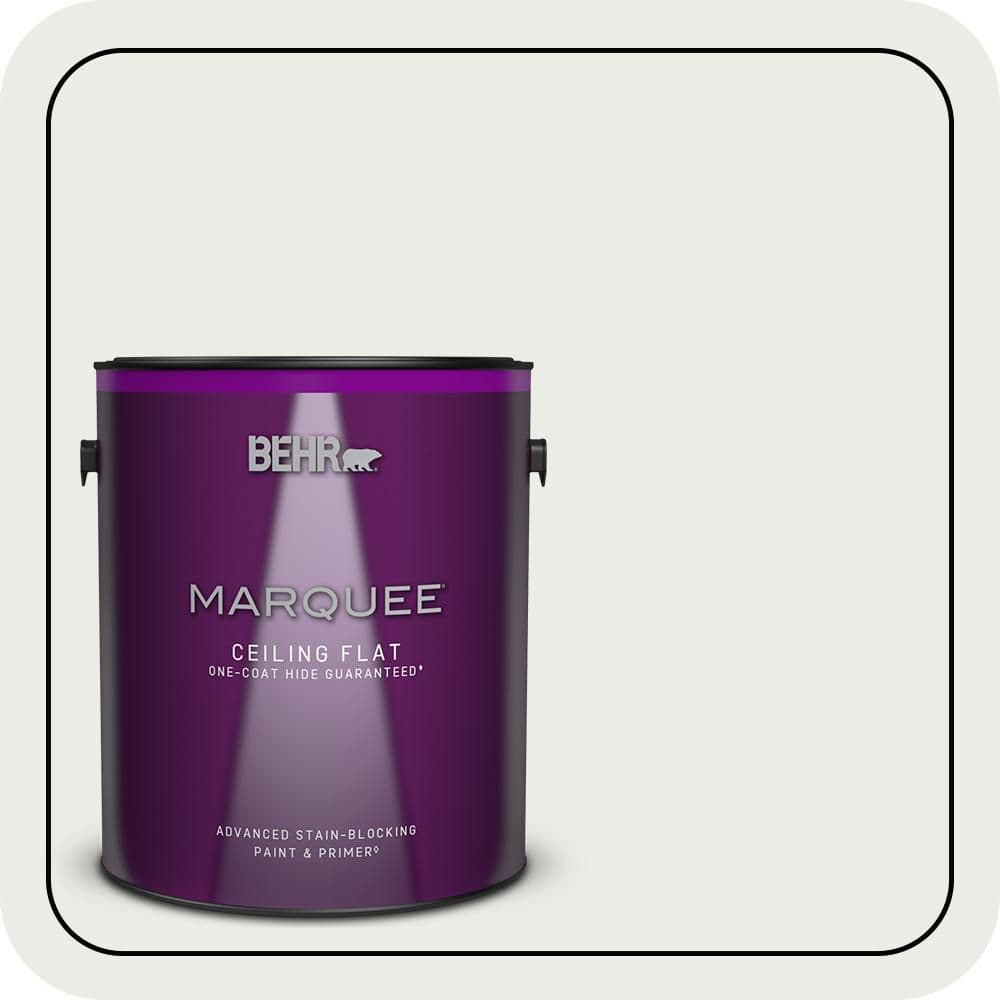 1 gal. #N410-1 Silence Ceiling Flat Interior Paint & Primer price history on PriceWatchPro