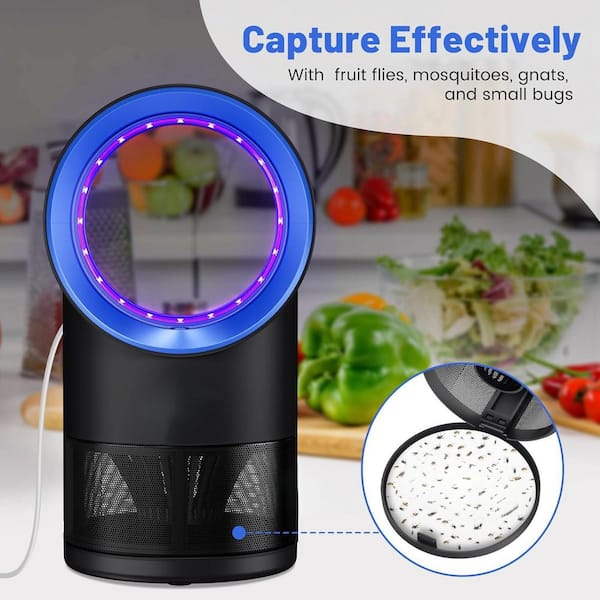 Black Fruit Fly Trap with Suction, Bug Light and 10 Sticky Glue Boards
