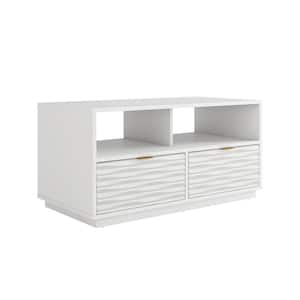 Morgan Main 40 in. White TV Stand with 2-Drawers Fits TV's up to 43 in.
