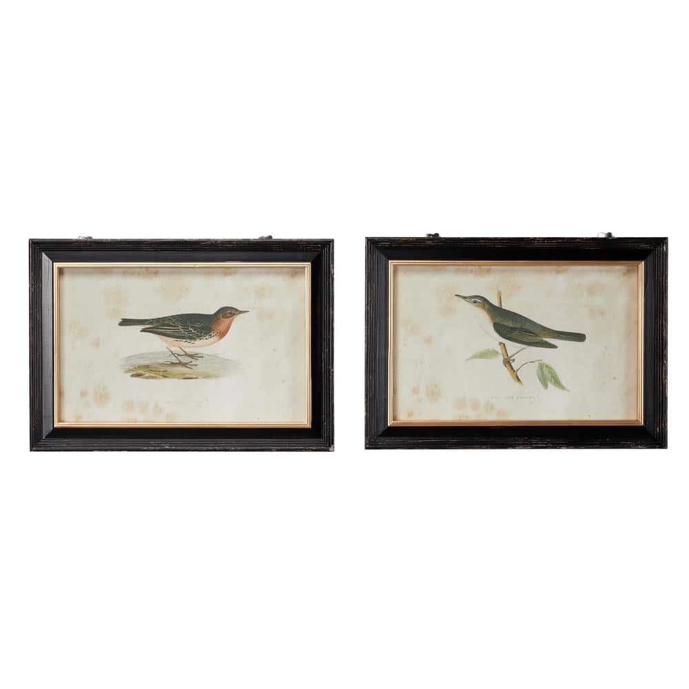 Black Framed Bird Print Wall Art Set, 20" x 14"
