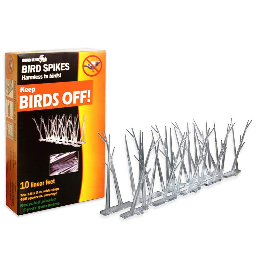 Bird-X 10 ft. Original Extra-Wide Stainless Steel Bird Spikes Bird Control  EWS-10 - The Home Depot