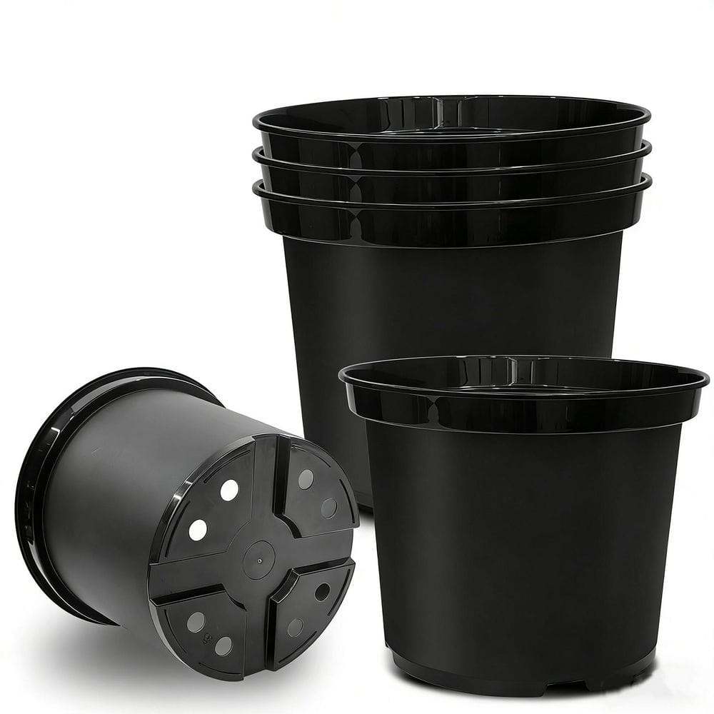 dent plant Plant Based/Vegan Floss in Refillable Glass Container main image 0