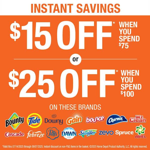 Flings HE Original Scent Liquid Laundry Detergent Pods (112-Count) Plus Original Scent Dryer Sheet (240-Count) Bundle