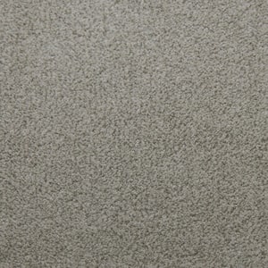 Sweet Dreams II - Assurance - Gray 68 oz. SD Polyester Texture Installed Carpet
