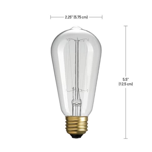 Globe Electric 60-Watt Incandescent S60 Vintage Squirrel Cage Medium Base Light Bulb