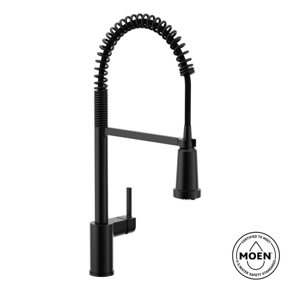 Align Single Handle Pre-Rinse Spring Pull Down Sprayer Kitchen Faucet with Optional 3- in -1 Water Filtration in Black price history on PriceWatchPro