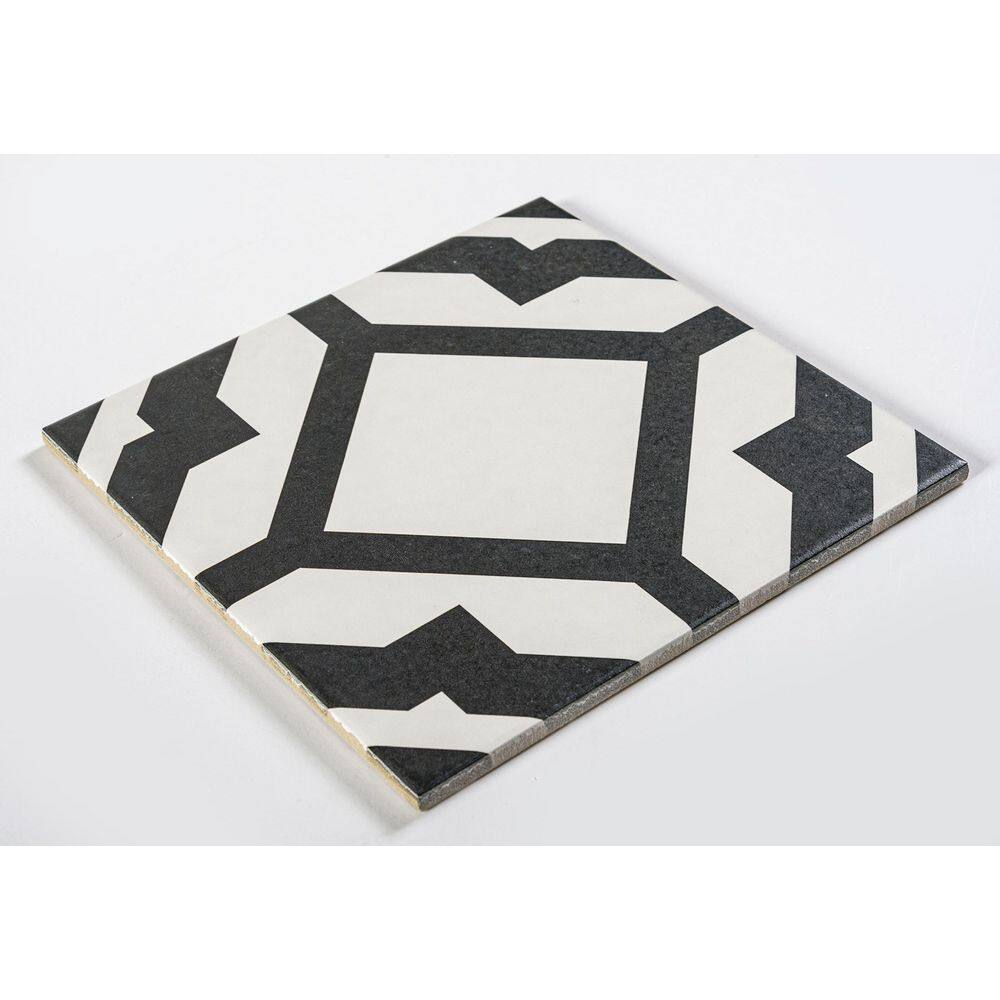 Enchanted Black and White 8" x 8" Glazed Porcelain Tile
